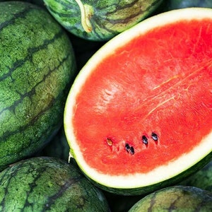 50 Russian Katanya Watermelon seeds