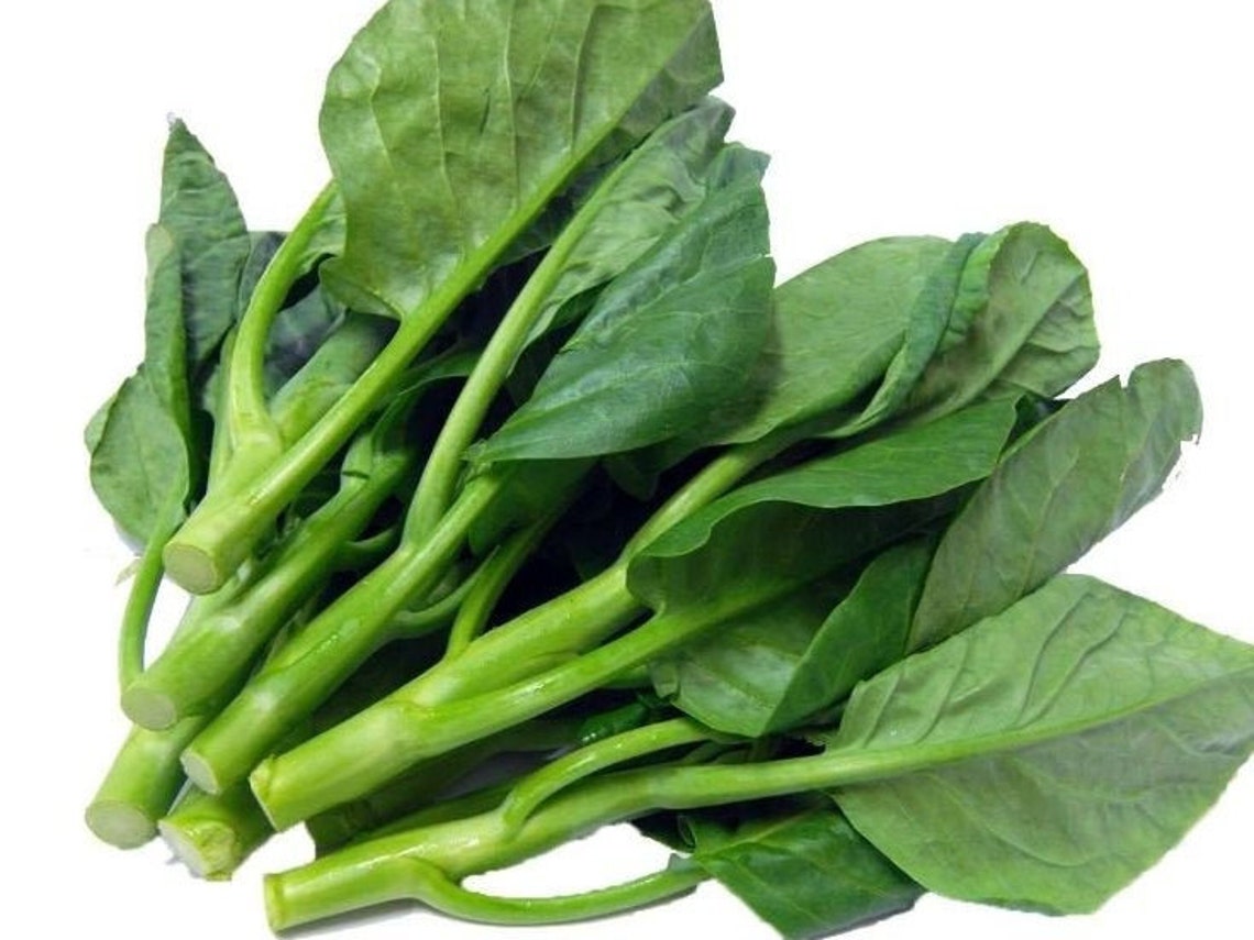 200 Chinese Broccoli Early Jade Hybrid Seeds156 Etsy