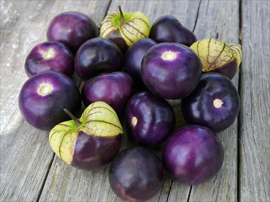 Purple tomatillo 30 seeds Etsy