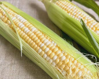 50 Honey select sweet corn seeds