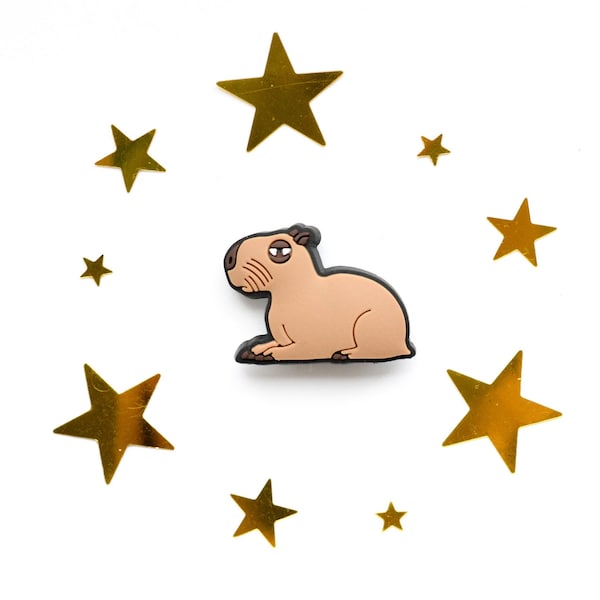 Cute Funky Brown Capybara Shoe Charm - Charms for your Crocs - Croc Accessories. Jibbitz