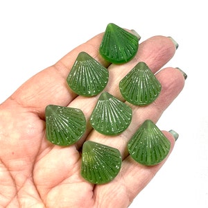 Green Sea Glass Scallop Shell Center Drilled Beads, 21mm Sea Glass Shell Bead, Cultured Sea Glass Shell Beads, Sea Glass Beads