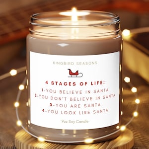 Levensfasen kerstkaars | 9oz sojawaskaars | Grappige kerstkaars | Kousvuller | Cadeau-idee
