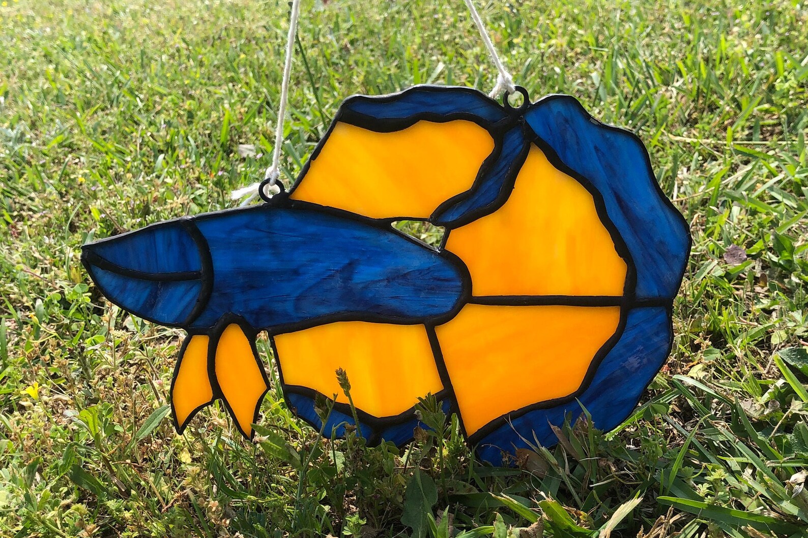 Stained Glass Betta Fish Suncatcher Fish Decor Betta Etsy