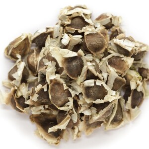 Moringa Oil Virgin Organic Cold Pressed Unrefined image 4