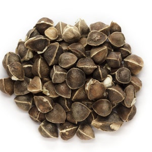 Moringa Oil Virgin Organic Cold Pressed Unrefined image 1