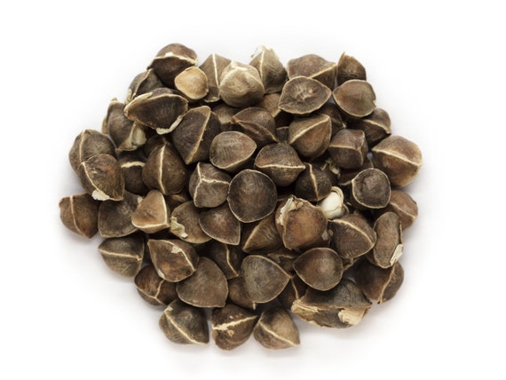 Moringa Oil Virgin Organic Cold Pressed Unrefined