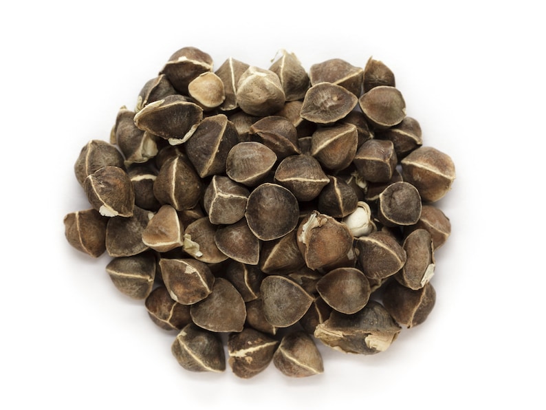Moringa Oil Virgin Organic Cold Pressed Unrefined image 1