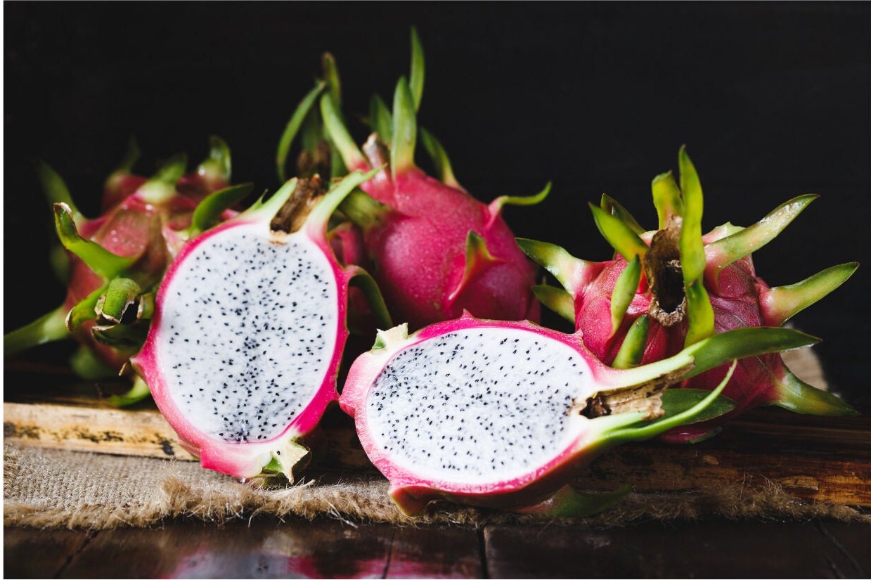 Dragon Fruit - Hylocereus triangularis – Smart Seeds Emporium