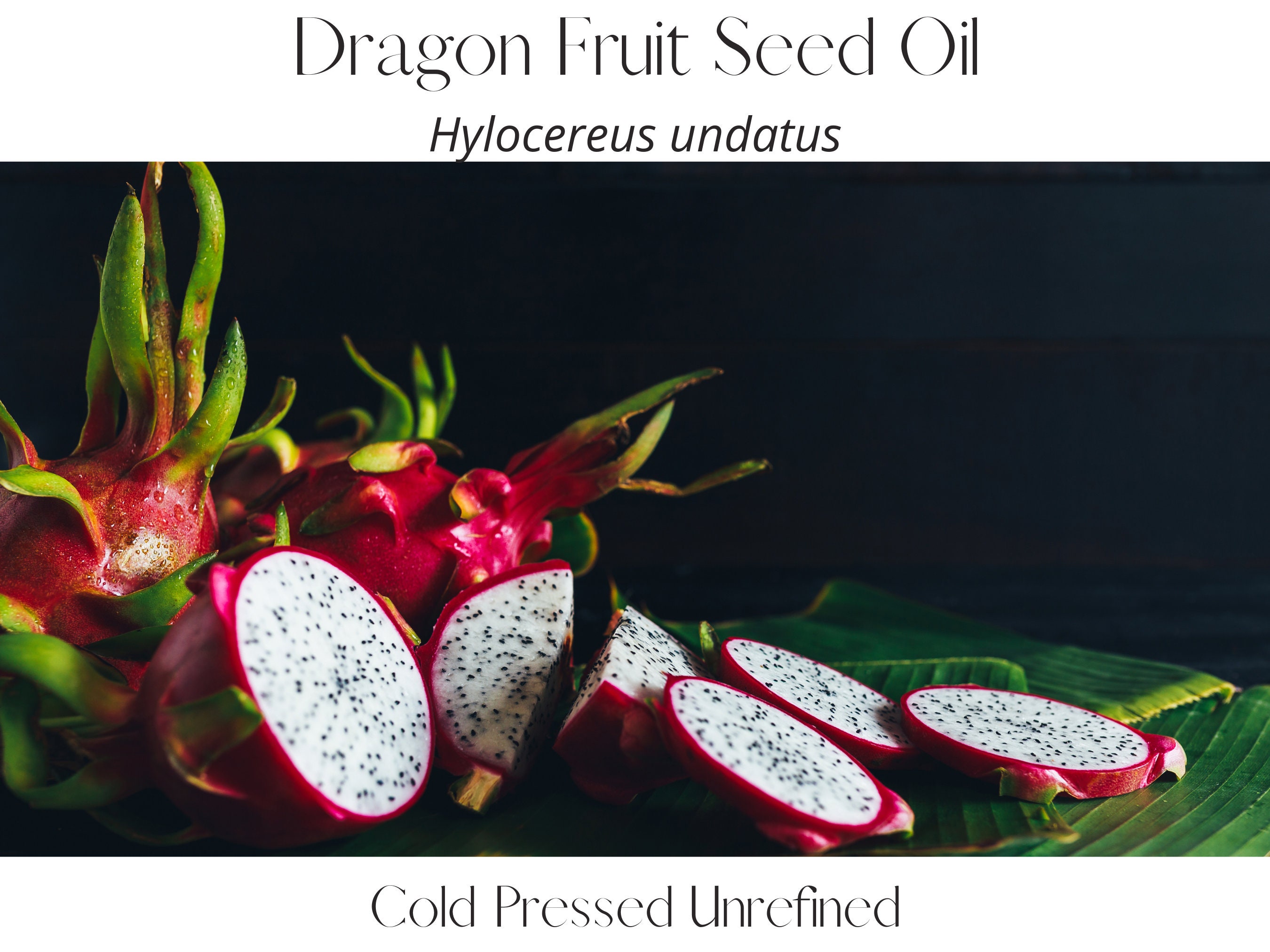 550 Graines Hylocereus Undatus Pitaya Dragon Fruit  Red Flesh seed 