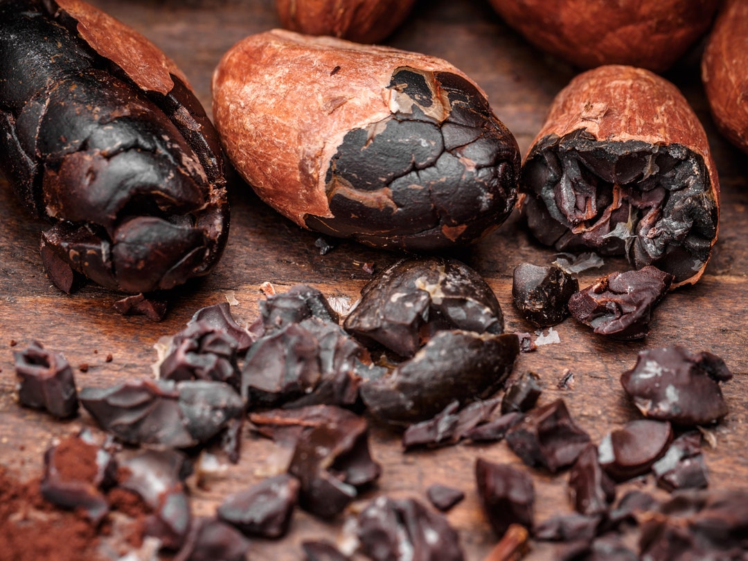 Cacao Absolute Essential Oil Cocoa Chocolate Extract Etsy