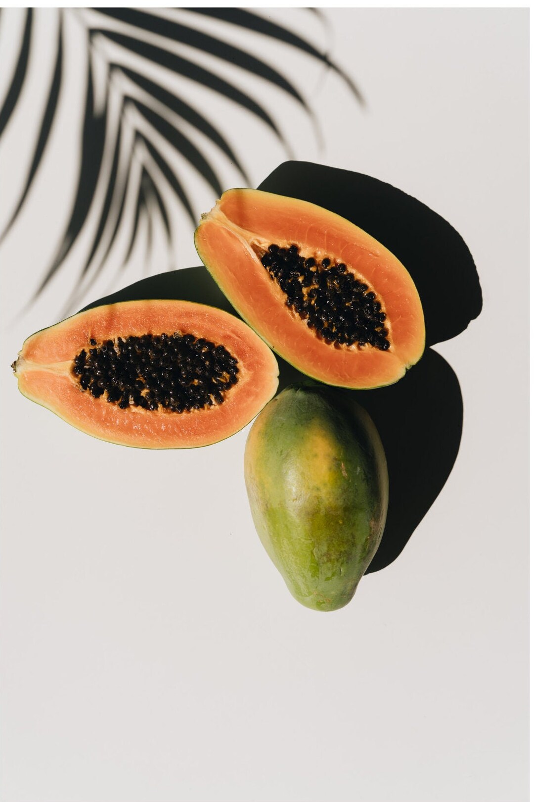 Papaya Enzyme Oil Soluble Etsy