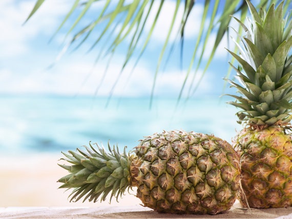 Pineapple Enzyme Oil Soluble