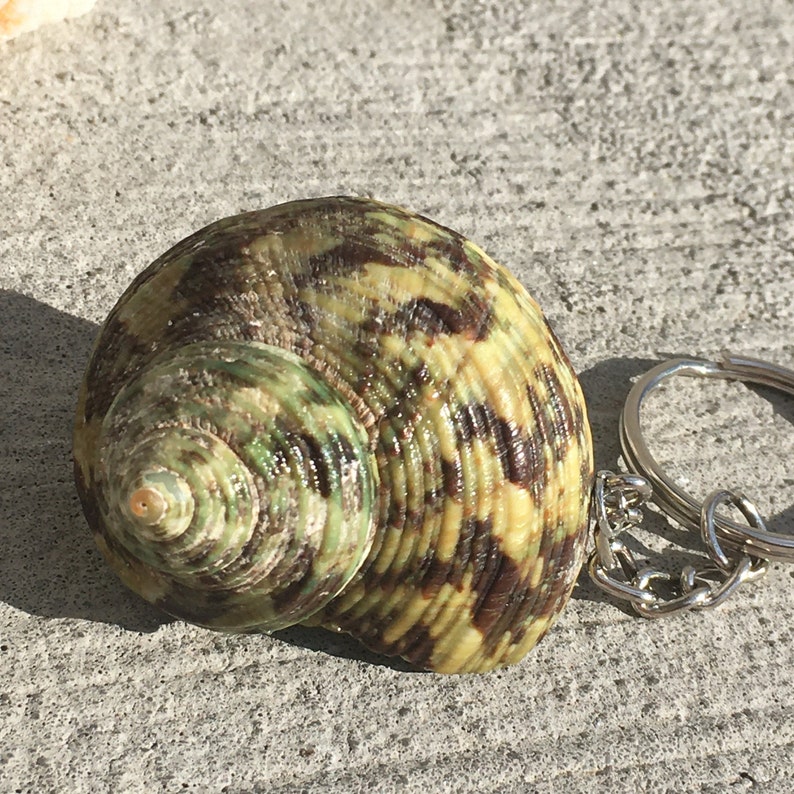 Beach Life Beach themed resin keychain Great gift Mothers day Gift Seashell Resin Ocean Keychain By the Shore Boat Keychain Nautical