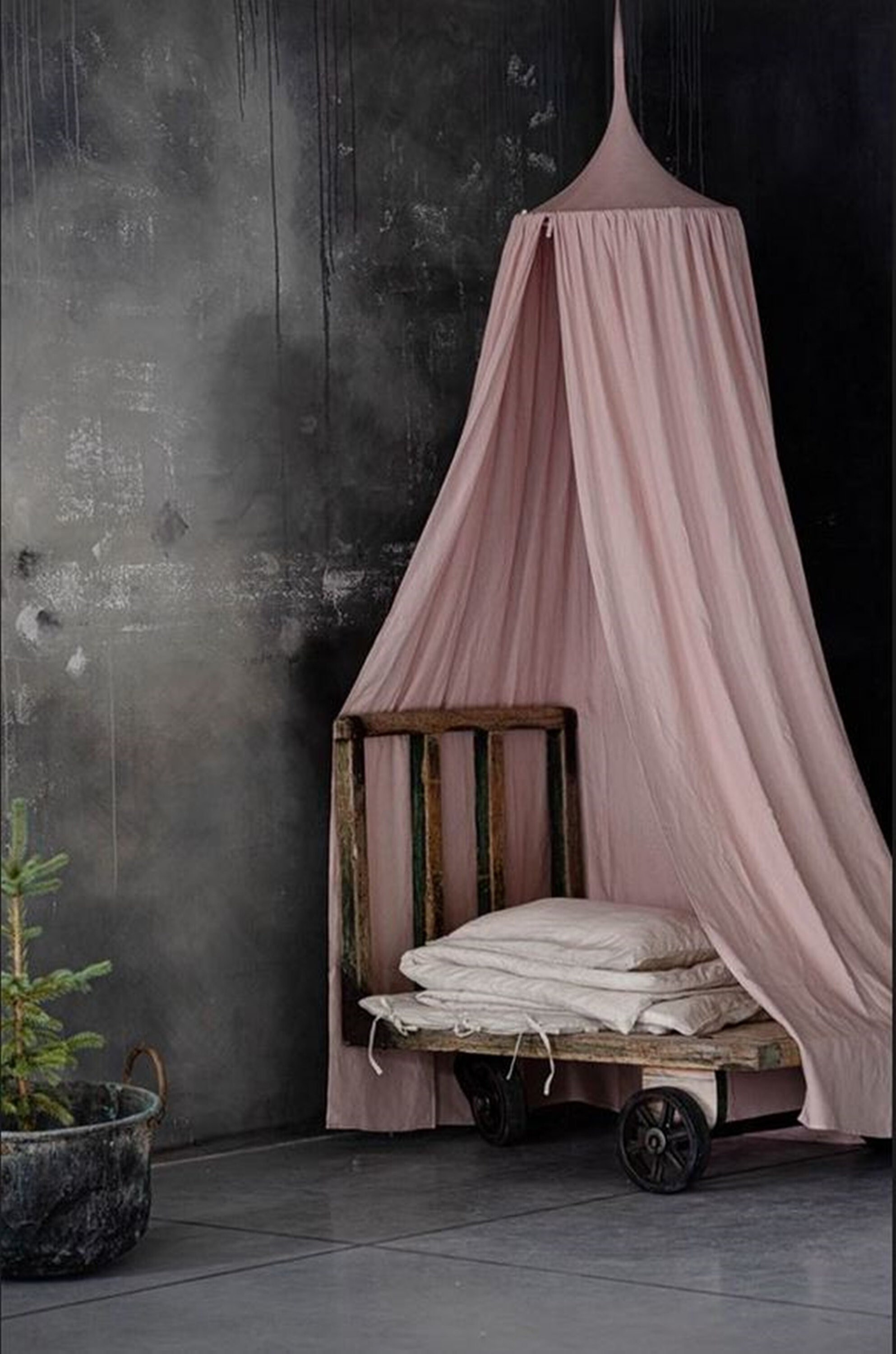 Dusty 2024 pink canopy
