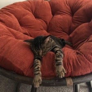 Corduroy Round Cushion for papasan chair | Pad for Rattan Papasan | Seat Cushion for Papasan | Bowl Chair Cushion Lounge Replacement Pillow