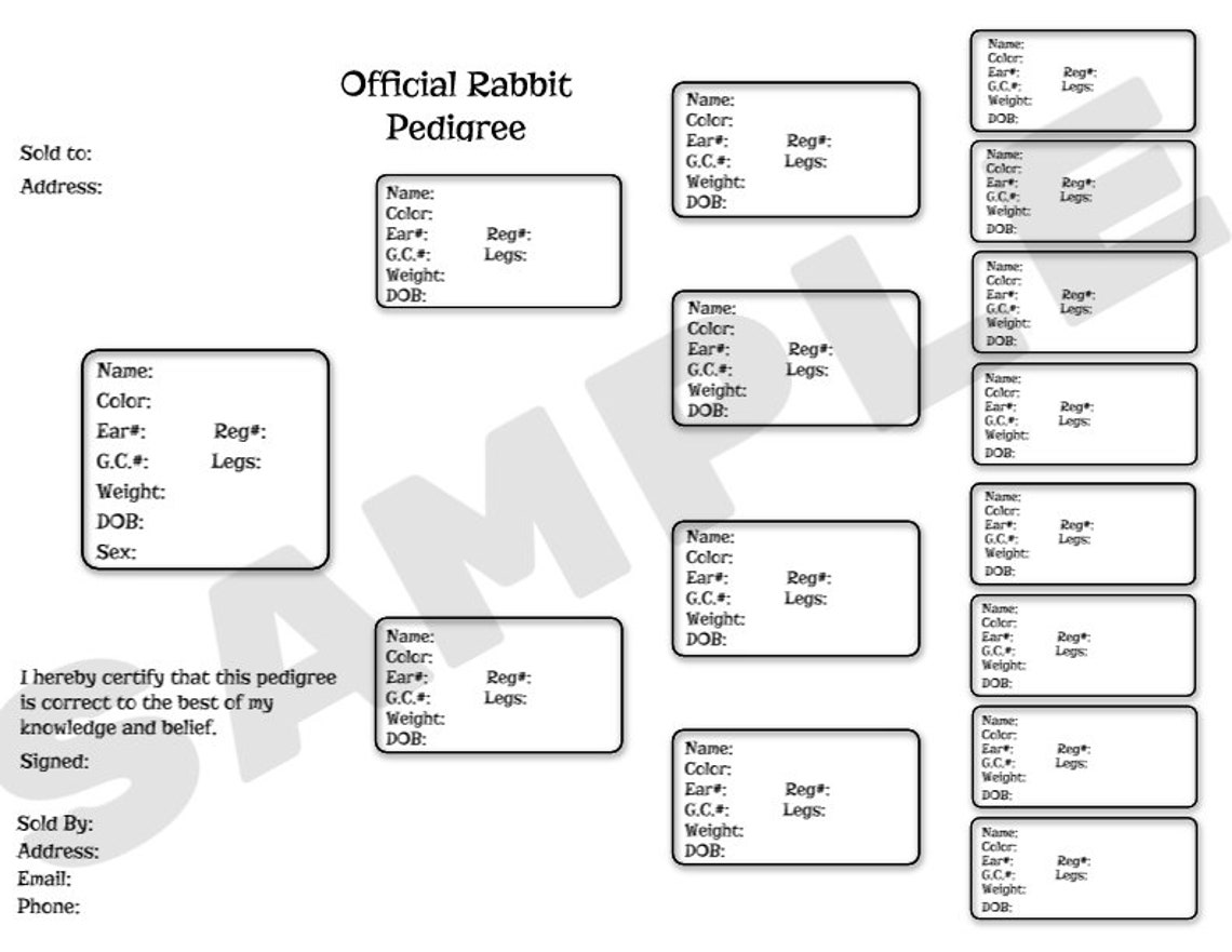 Rabbit Pedigree Printable Pedigree Custom Pedigree Etsy