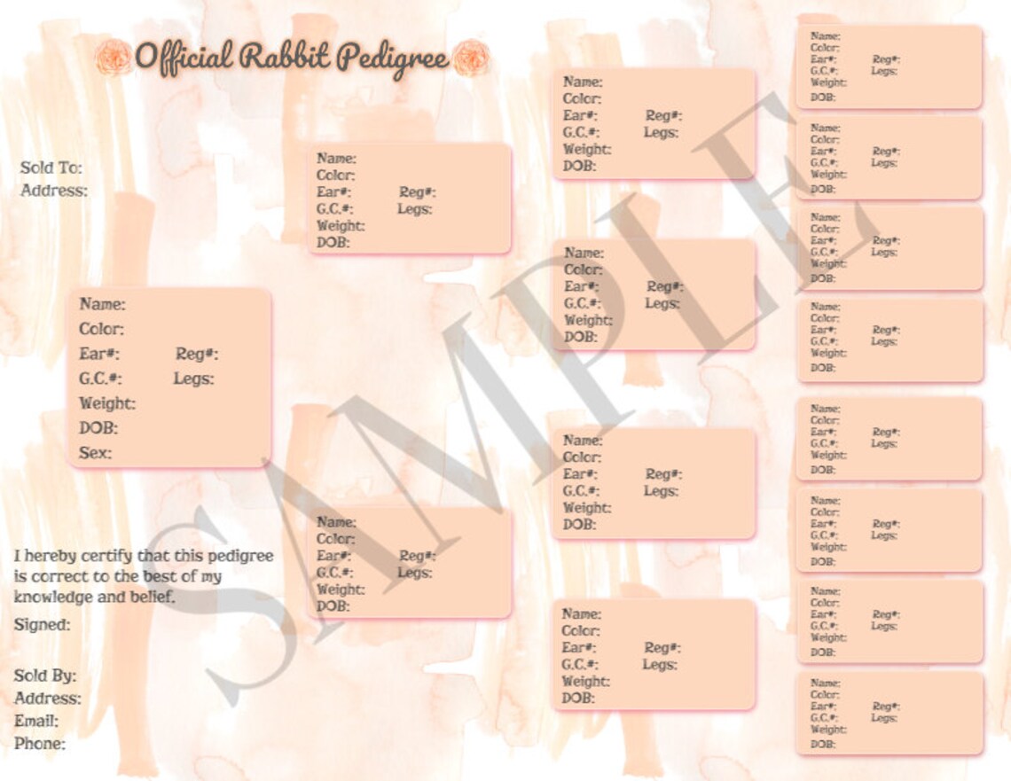 Rabbit Pedigree Printable Pedigree Custom Pedigree | Etsy