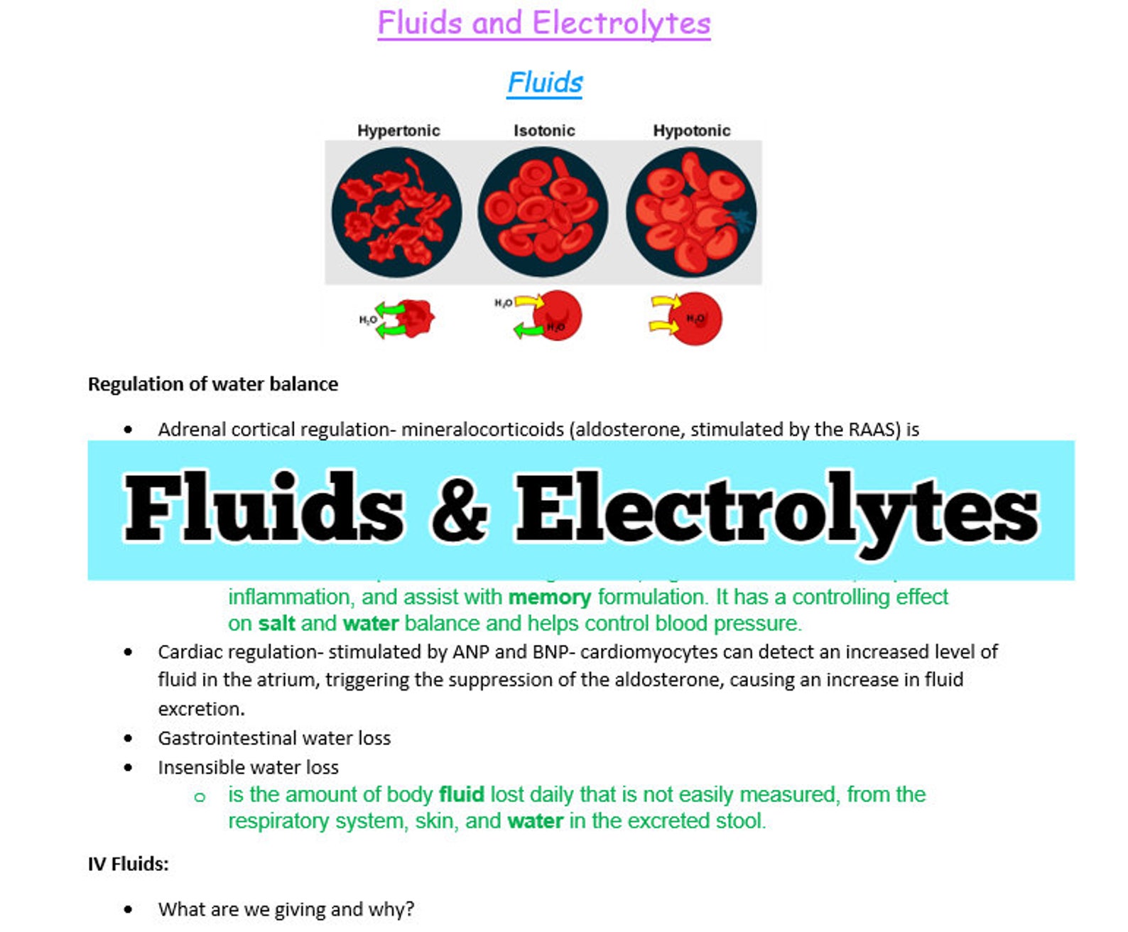 Fluids and Electrolyte Nursing Study Guide Etsy