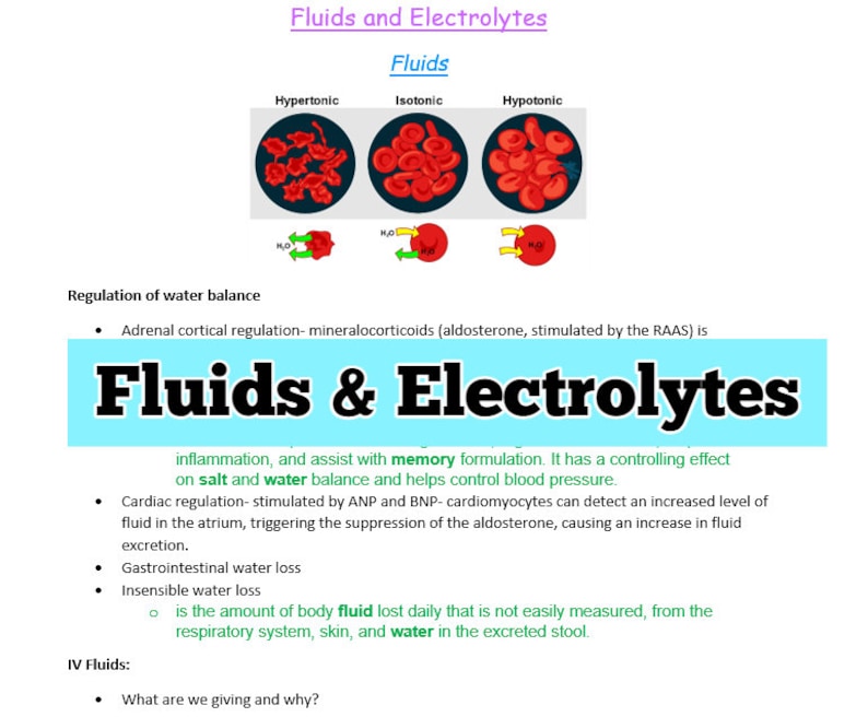 Fluids and Electrolyte Nursing Study Guide Etsy