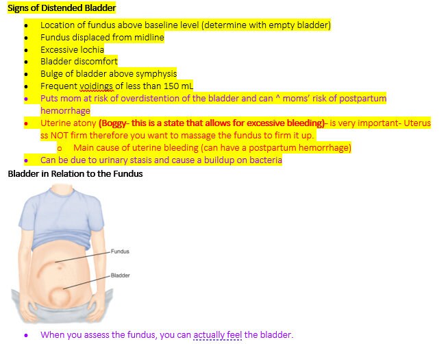 Fundus Is Firm