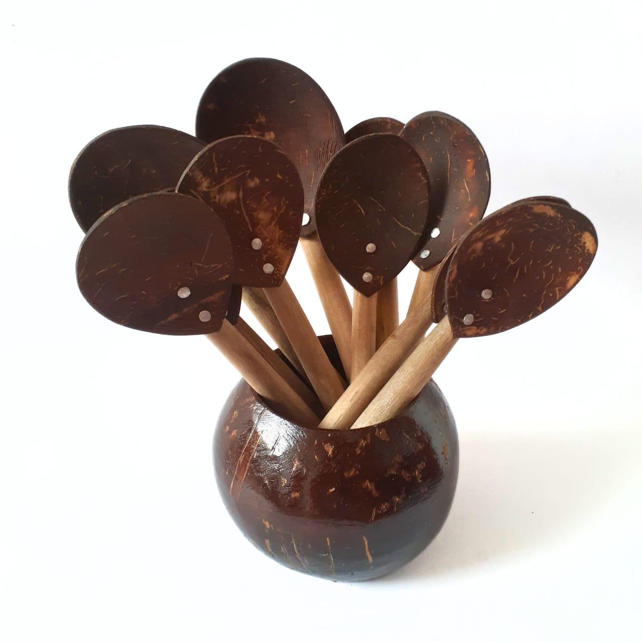 Eco-friendly Coconut Shell Spoons Set of 10 With Stylish Coconut Shell ...