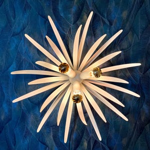 Arte-Luce wall/ceiling lamp