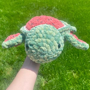 Watermelon Sea Turtle