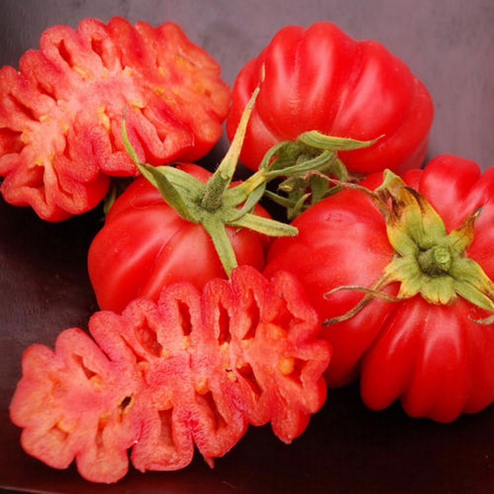 Graines de Tomates Zapotec Ribbed | Méthode Culture Bio Légumes et Fruits Pour Potager ou Jardin