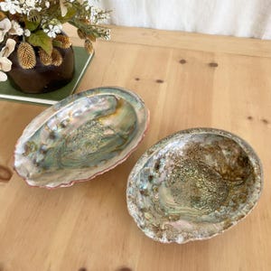 May include: Two iridescent abalone shells with a pearlescent sheen. The shells display a range of colors, including green, blue, and pink, with intricate patterns. The shells are on a light-colored wooden surface.