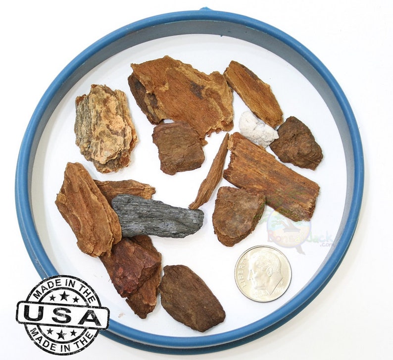 Bonsai Jack Universal Orchid Mix Etsy