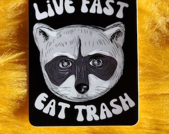 Funny raccoon sticker meme cute trash panda sticker glossy waterproof hydroflask journal sticker pack animals joke
