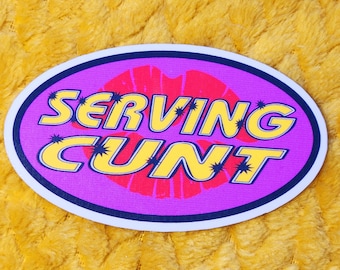 Funny millennial humor 90s kid hip hop kids gen z serving cunt sticker hilarious glossy waterproof hydroflask journal planner Mashup meme