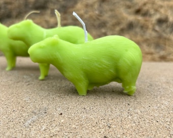 Green capybara candle, piña colada candle