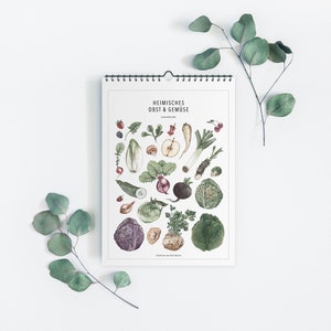 Seasonal calendar drawn, A4, regional fruit & vegetables, printed on natural paper, beautiful kitchen calendar, gift idea