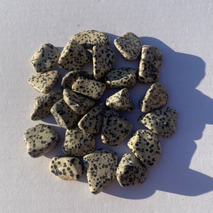 Dalmation Jasper