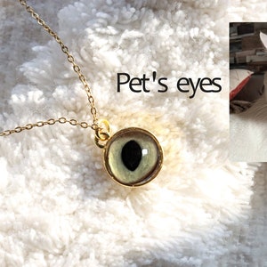 Personalized eye necklace,dog/cat/pet remembrance,Pet Memorial Gift,,Personalized pet eye customization, Dog Cat Loss Sympathy Gift