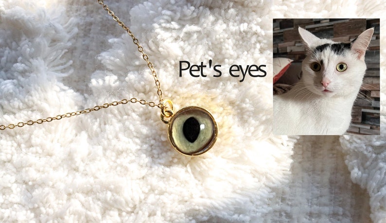 Collar de ojos personalizado, recuerdo de perro/gato/mascota, regalo conmemorativo de mascotas, personalización personalizada de ojos de mascota, regalo de simpatía por la pérdida de perros y gatos imagen 1