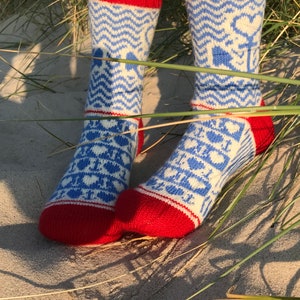 May include: A pair of blue and white patterned socks with red cuffs. The socks have a geometric design with hearts and other shapes.