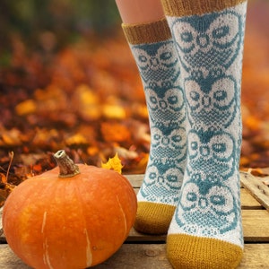Könnte beinhalten: Ein Paar tealfarbene und weiße gestrickte Socken mit einem Eulenmuster. Die Socken haben einen senfgelben Bund. Im Hintergrund liegt ein großer orangefarbener Kürbis auf einer Holzoberfläche.