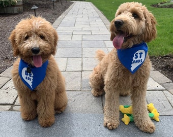 Best Friends Bandanas
