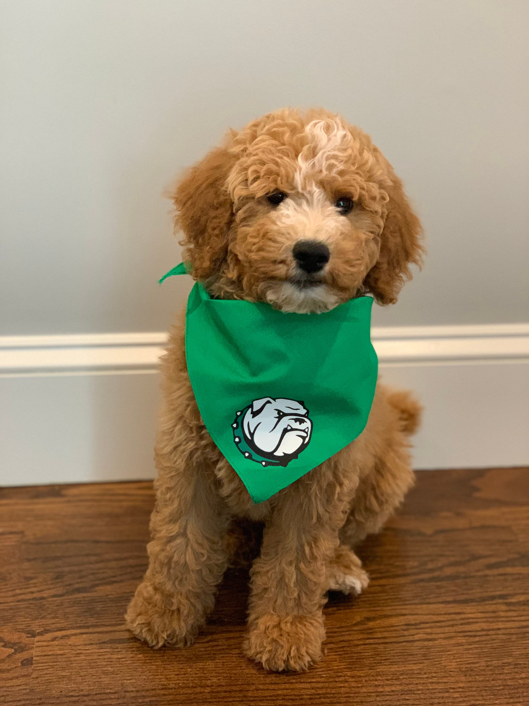 T-shirt Unisexe Vintage Canton Bulldogs - Manches Courtes, Style Rétro Athletic Dry Goods