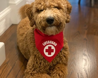 Lifeguard