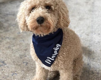 personalized dog scarves