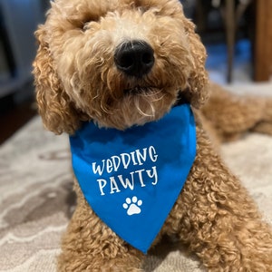 Wedding Pawty