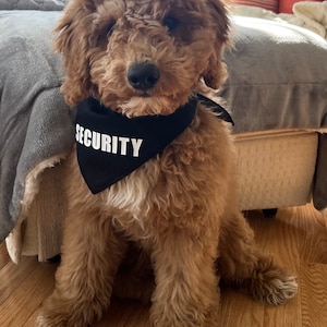 Security