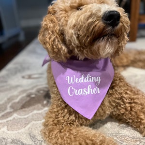 Wedding Crasher