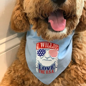 I Willie Love The USA