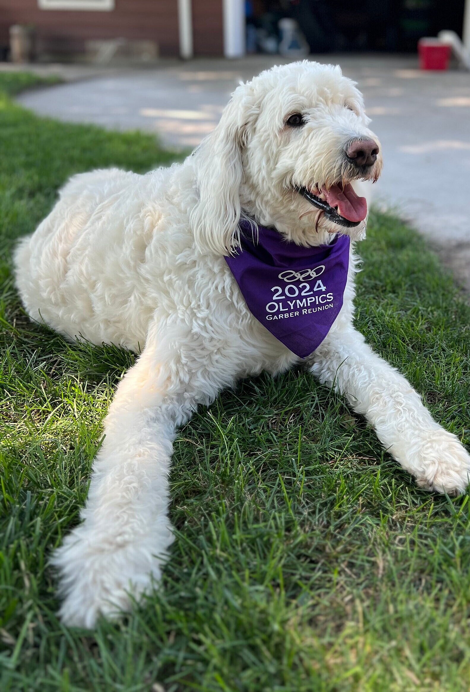 Logo dog bandanas hot sale