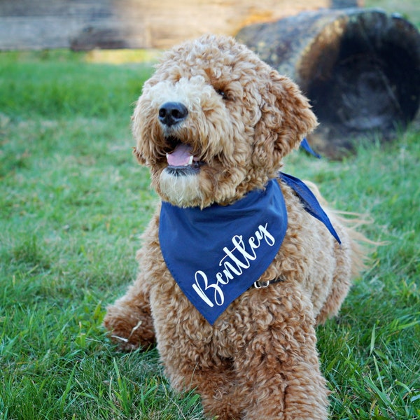 Personalized Dog Bandana